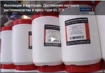 Томские ученые вырастили картофельное дерево (VIDEO)