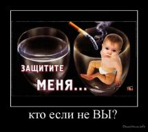 Минимальные дозы алкоголя гробят потомство. Видео