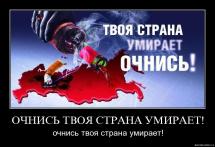 Томичи подали губернатору открытое обращение о внедрении "Трезвой карты"