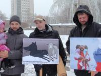 13 ноября томичи вышли на пикет против ювенальных законопроектов