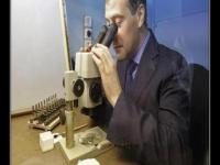 Медвед большой следопыт