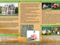 Expanded Vermikulite and product from it...