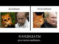 Никогда не врут так, как перед выборами и после охоты